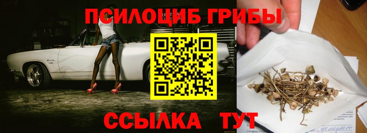 Кизляр  Галлюциногенные грибы Psilocybe  купить наркотики цена  Вход с VPN  Псилоцибиновые грибы MAGIC MUSHROOMS 