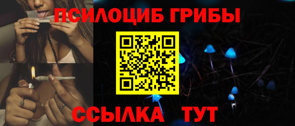 Галлюциногенные грибы Magic Shrooms Кизляр